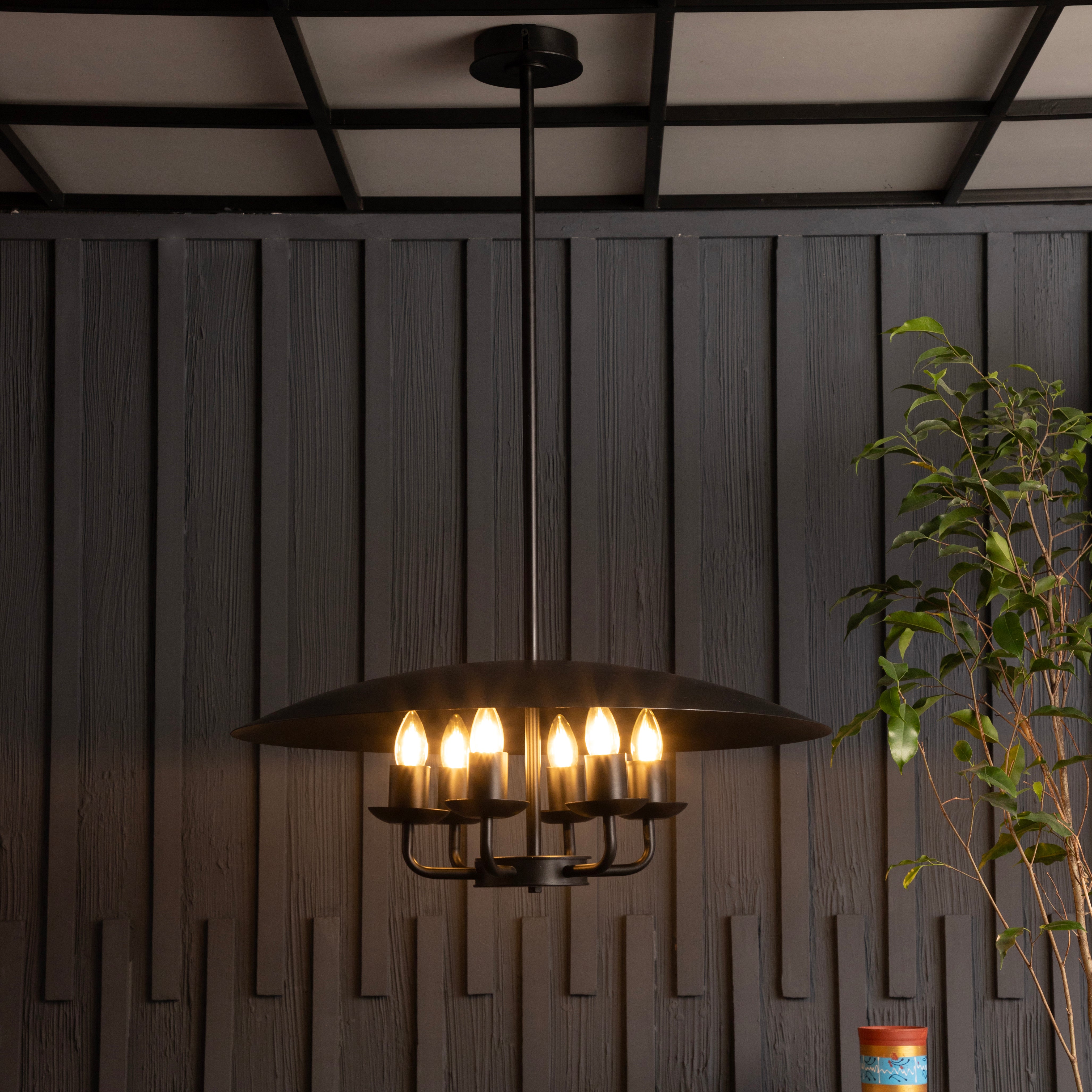 Pelican 6 Lt Chandelier By Shoppeefry