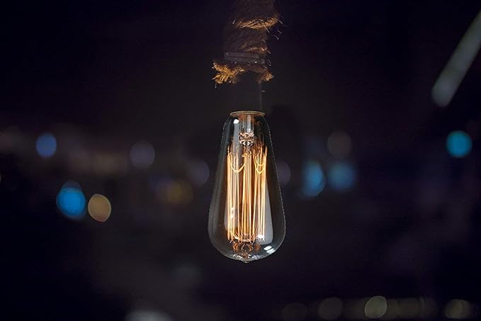 T64 Vintage Light Bulb Filament