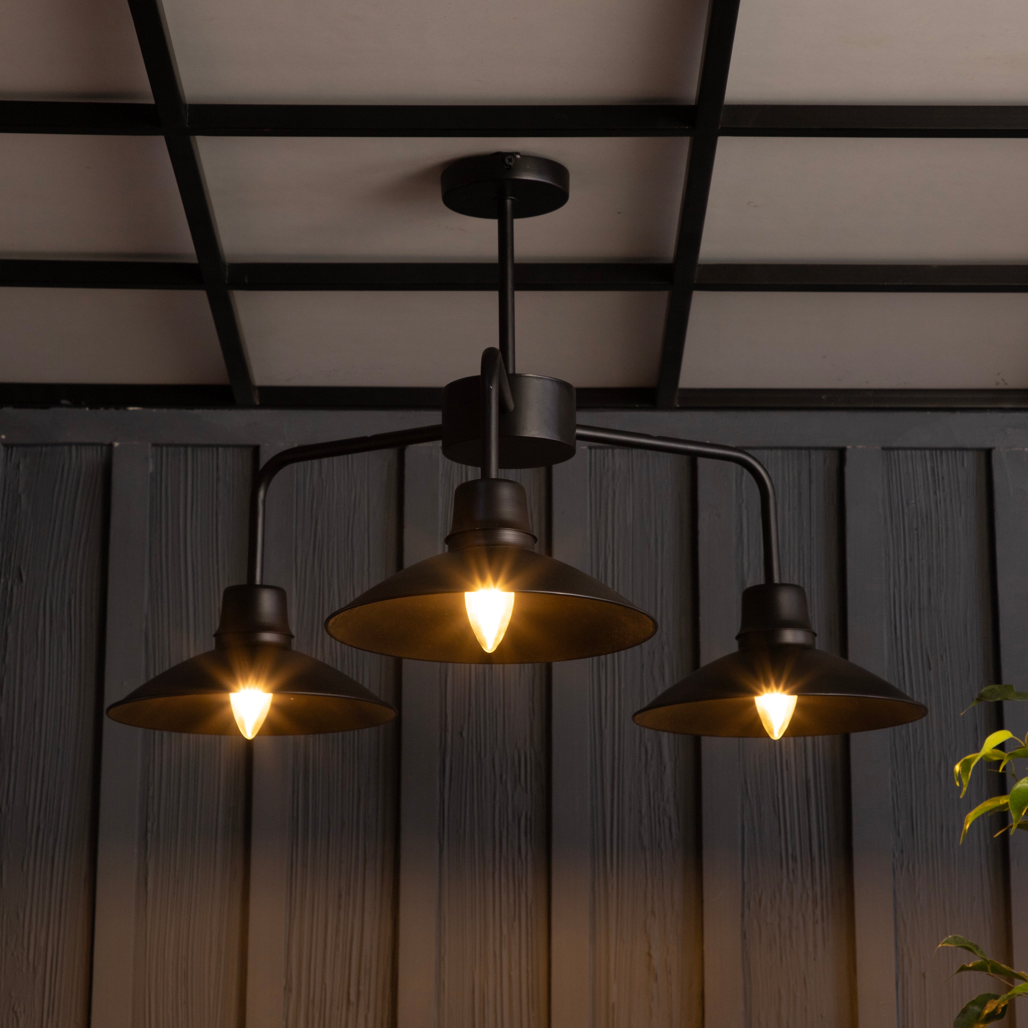 The Edward Chandelier By Shoppeefry