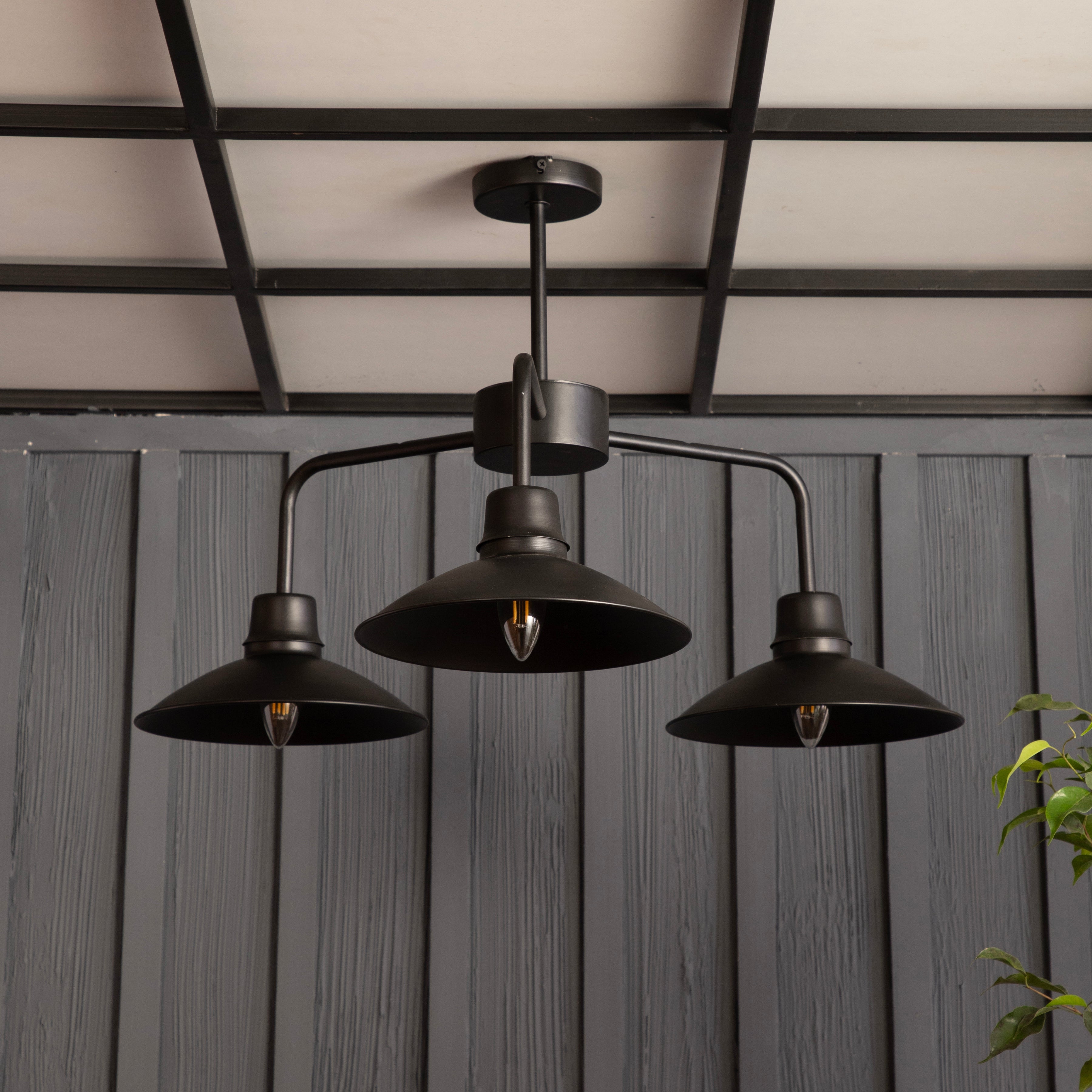 The Edward Chandelier By Shoppeefry