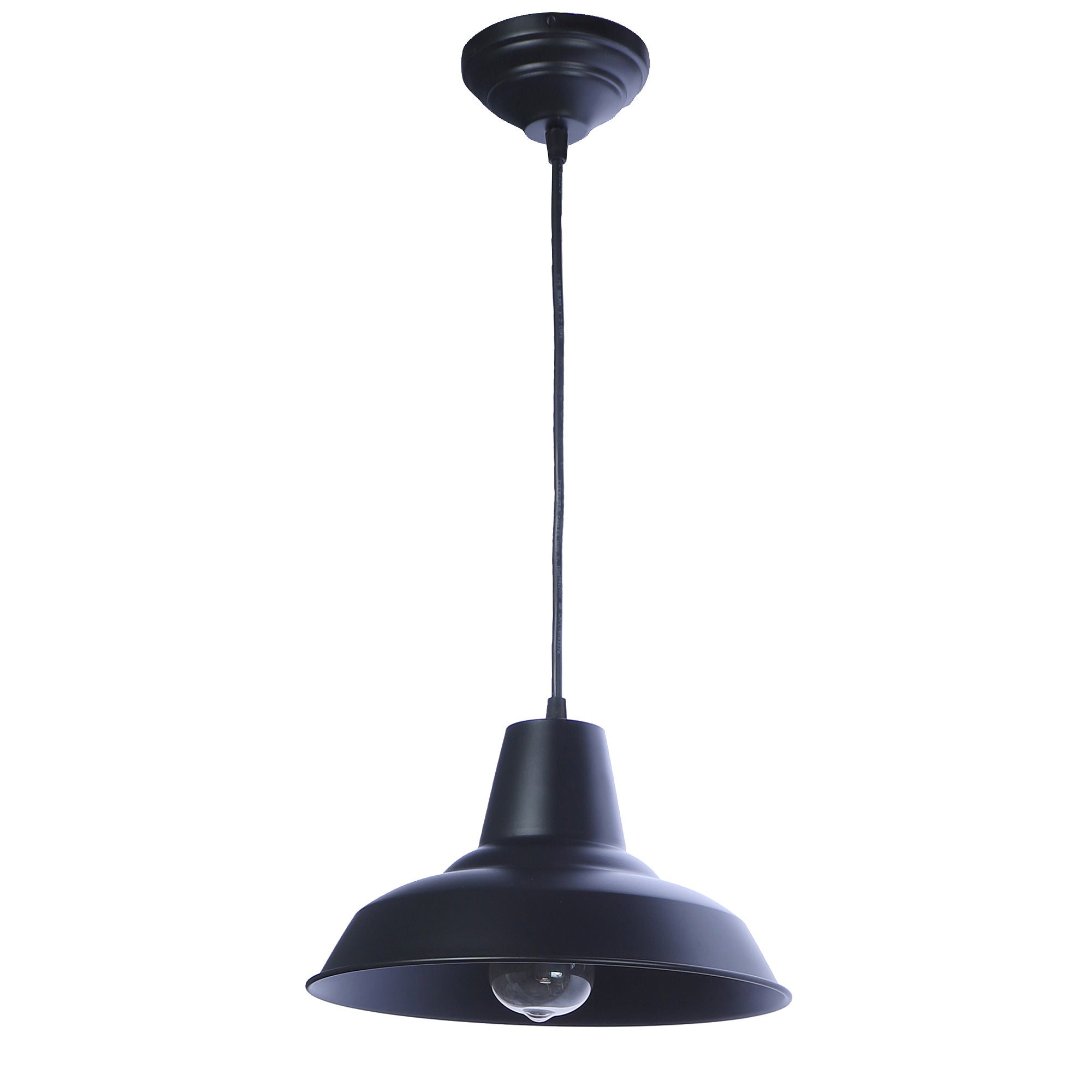 Opi Minimal Pastel Black Metal Single Hanging Light